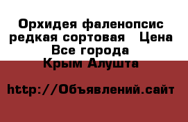 Орхидея фаленопсис редкая сортовая › Цена ­ 800 - Все города  »    . Крым,Алушта